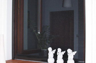 moustiquaire fenêtre