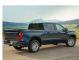 Chevrolet Silverado (4) Double Cab Pick-up 4 doors (since 2019) Chevrolet Silverado (4) Double Cab Pick-up 4 doors (since 2019)
