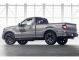 Kit film teinté Ford F-Series (13) Standard Cab Pick-up 2 portes (2015 - 2021)