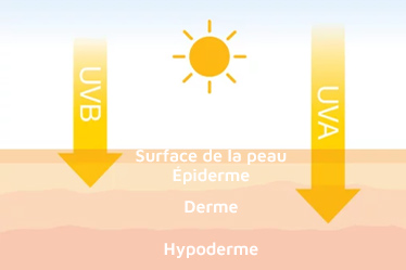 Image : Understanding the composition of UV : -85583