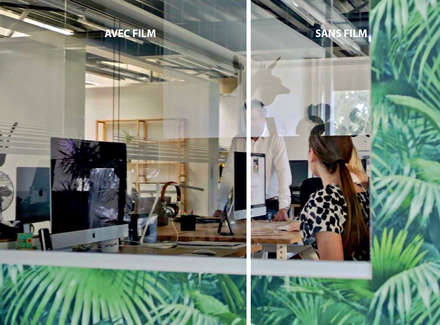 - Luminis Films - Particulier