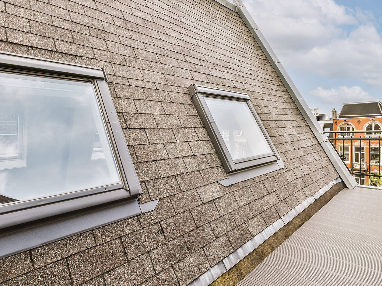  - Luminis Films - Individuale