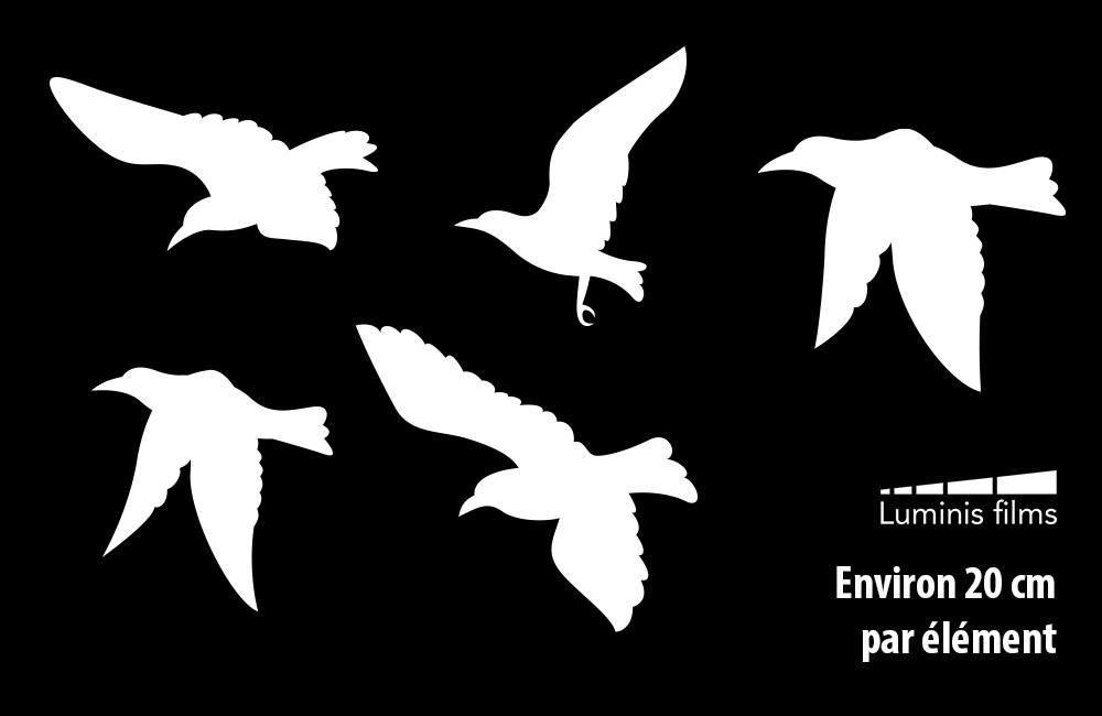 Autocollants Fenêtre Anti-collision Oiseaux – 4 Feuilles Prisme Couleur, PVC Réutilisable, Protection Oiseaux Sauvages - 5