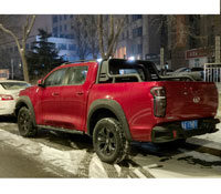 Kit pellicole oscuranti Great Wall (1) Serie P Pick-up 4 porte (dal 2019)